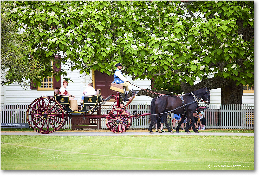 CarriageRide_Williamsburg_2025May_CarriageRide_Williamsburg_2025May_R5C00754