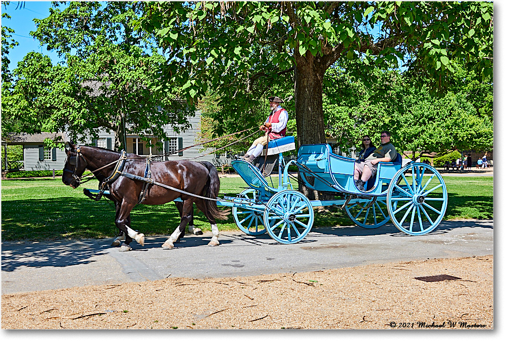 Williamsburg_Carriage_2021May_R5A02855 copy