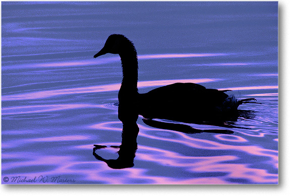 Goose-Silhouette-006-06H-0206