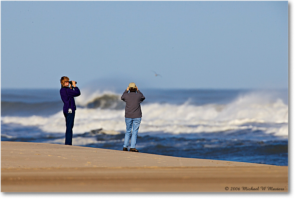 AtlanticBeach_Assateague_2006Nov_E0K8346 copy