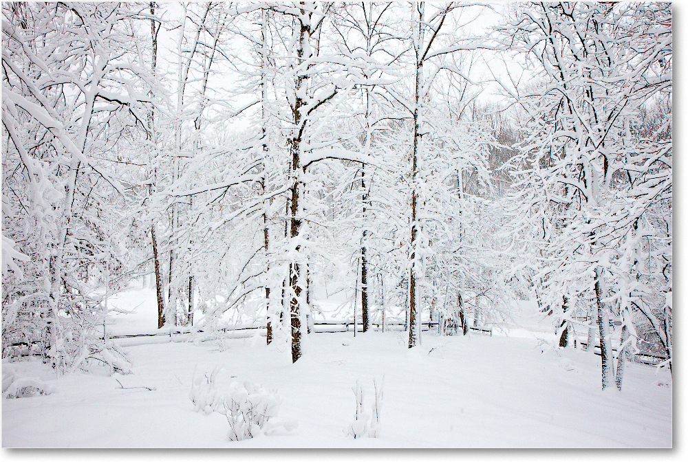 BigSnow_Fredericksburg_2010Feb_S3A1064 copy