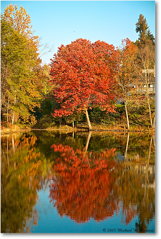 LakeCarol_FallLeaves_2005Nov_1FFT8263 copy