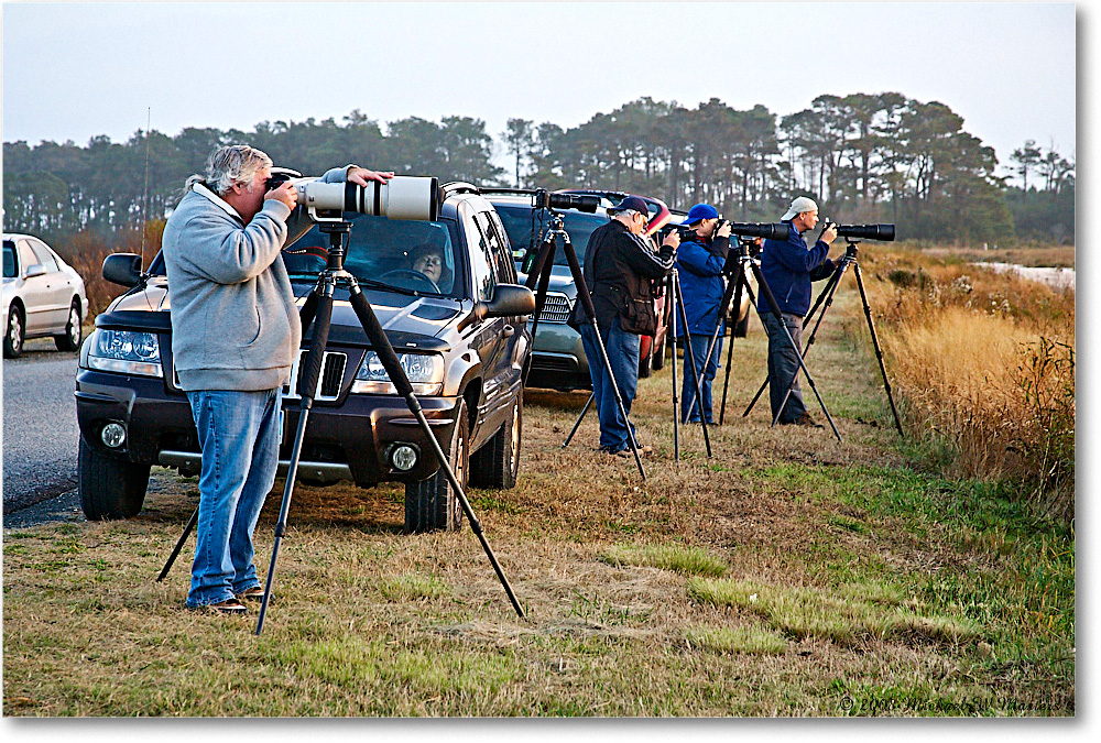 SnowGooseWatchers_ChincoNWR-wll_2008NovVE0K9384 copy