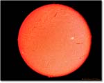 Sun-H-Alpha-Img-16-2012-02-09