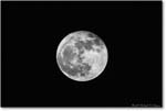 SuperMoon_2017December_3DXA3978-copy