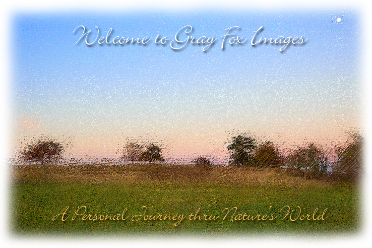 PhotoArt-BigMeadowsMoon