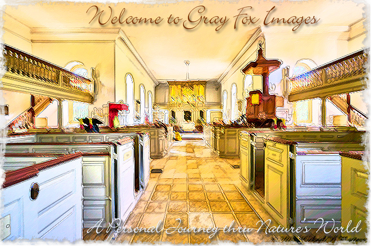PhotoArt-BrutonParishChurchInterior