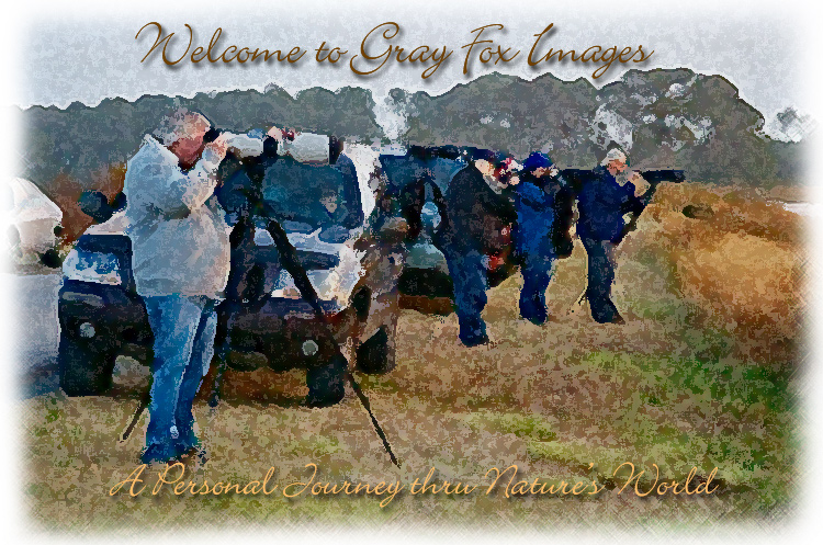 PhotoArt-ChincoPhotogs