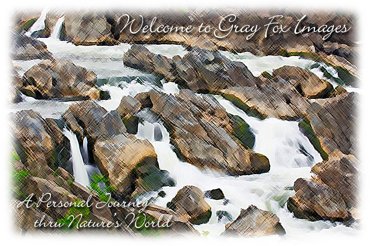 PhotoArt-GreatFalls