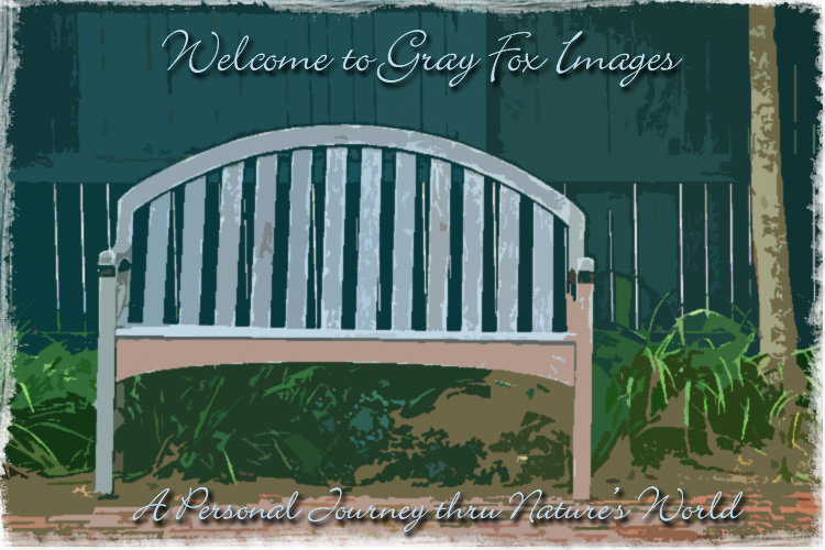 PhotoArt-KenmoreBench