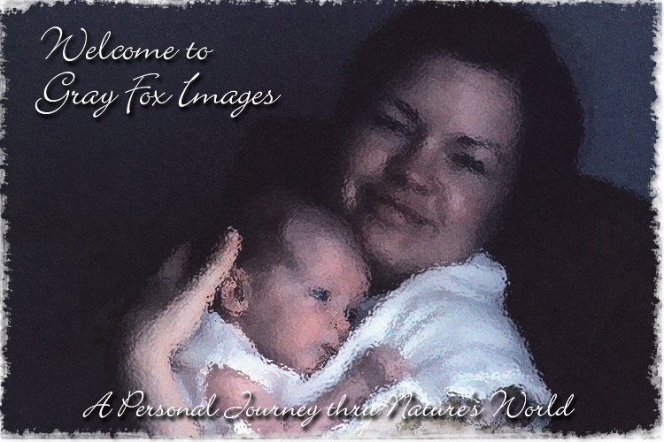 PhotoArt-MadonnaSmile
