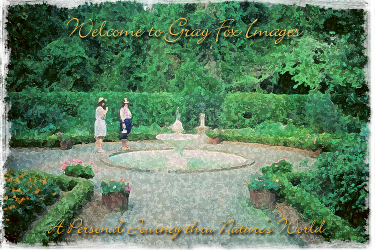 PhotoArt-ManteoGarden