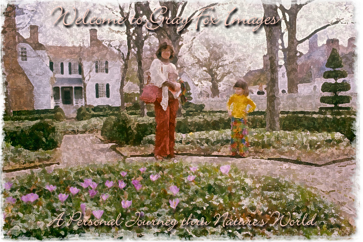 PhotoArt-Mom&DaughterWburg