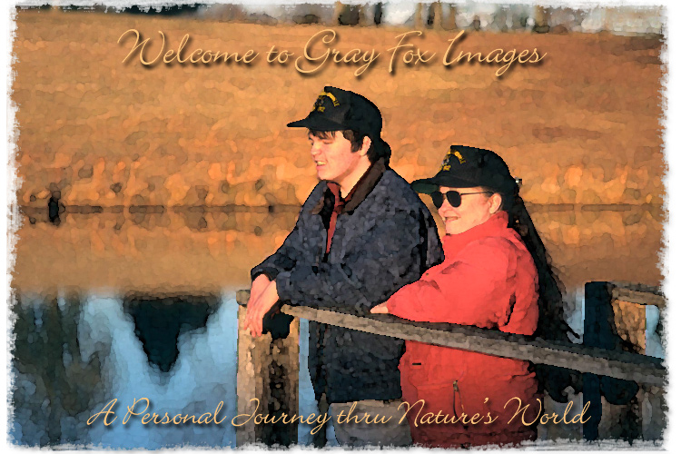 PhotoArt-Mom&Son