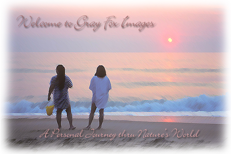 PhotoArt-MotherDaughter