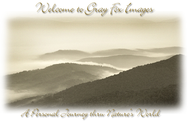 PhotoArt-Mountains