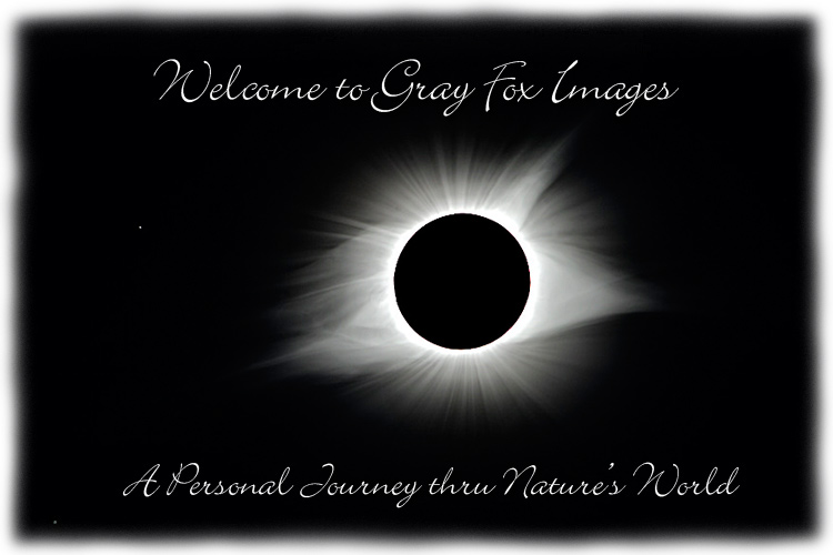 PhotoArt-SolarEclipse