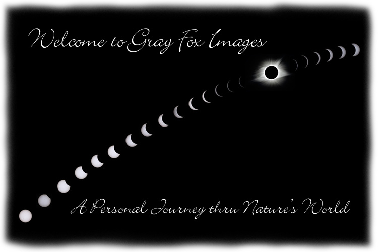PhotoArt-SolarEclipseComposite