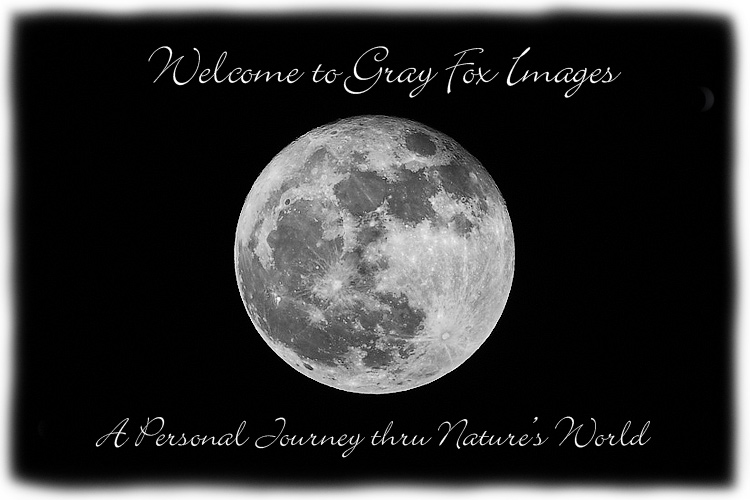 PhotoArt-SuperMoon