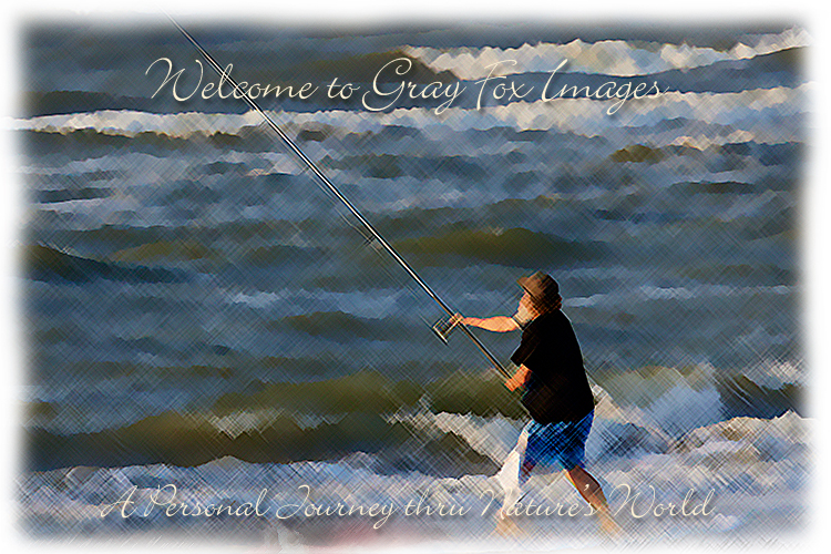PhotoArt-SurfFishing