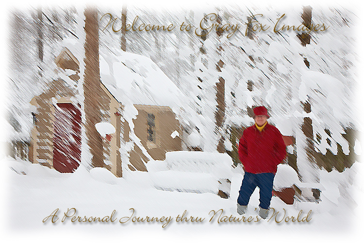 PhotoArt-SusieSnow