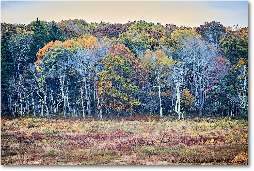 AutumnTreeline_BigMeadows_2016Oct_2DXB3657_8_9_HDR