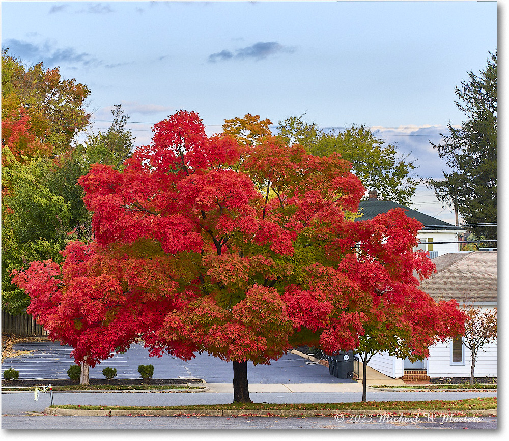 FallColors_Fredericksburg_2023Oct_R5B13409-11_HDR copy