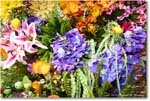 Flowers_Fredericksburg_2024Apr_R5B27901