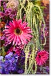 Flowers_Fredericksburg_2024Apr_R5B27902