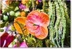 Flowers_Fredericksburg_2024Apr_R5B27903