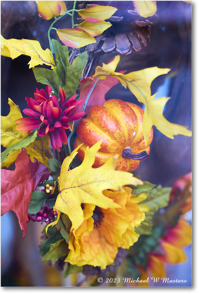 Halloween_Fredericksburg_2023Oct_R5A21484 copy