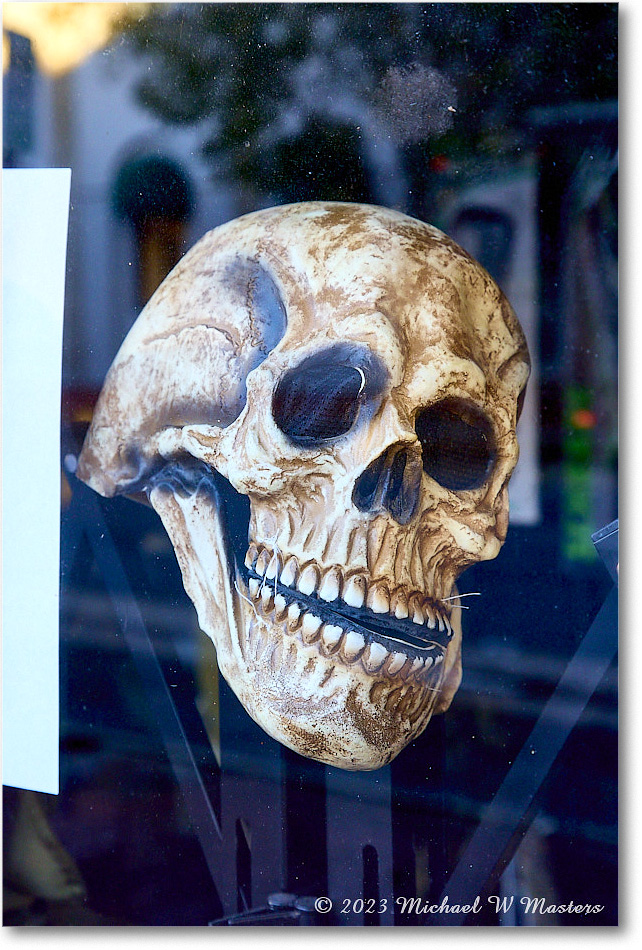 Halloween_Fredericksburg_2023Oct_R5B13361 copy