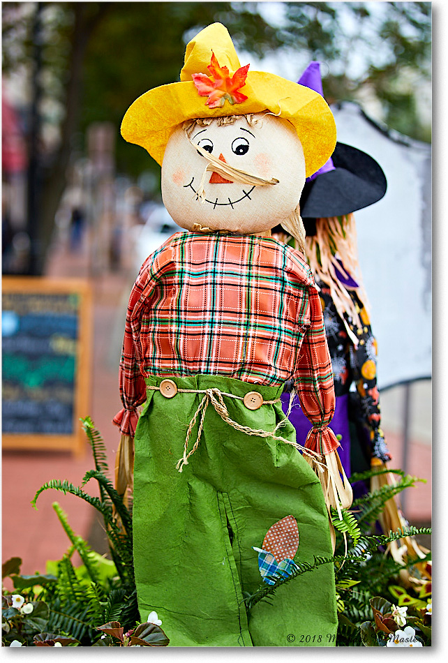 HarvestDoll_FburgVA_2018Oct_5D5A0960 copy