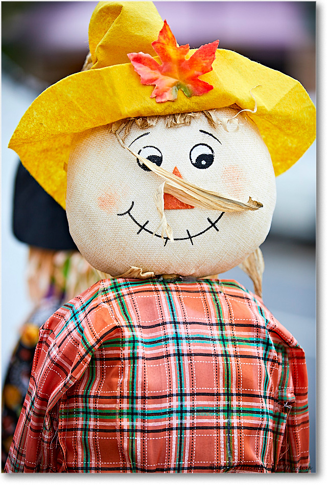 HarvestDoll_FburgVA_2018Oct_5D5A0962 copy