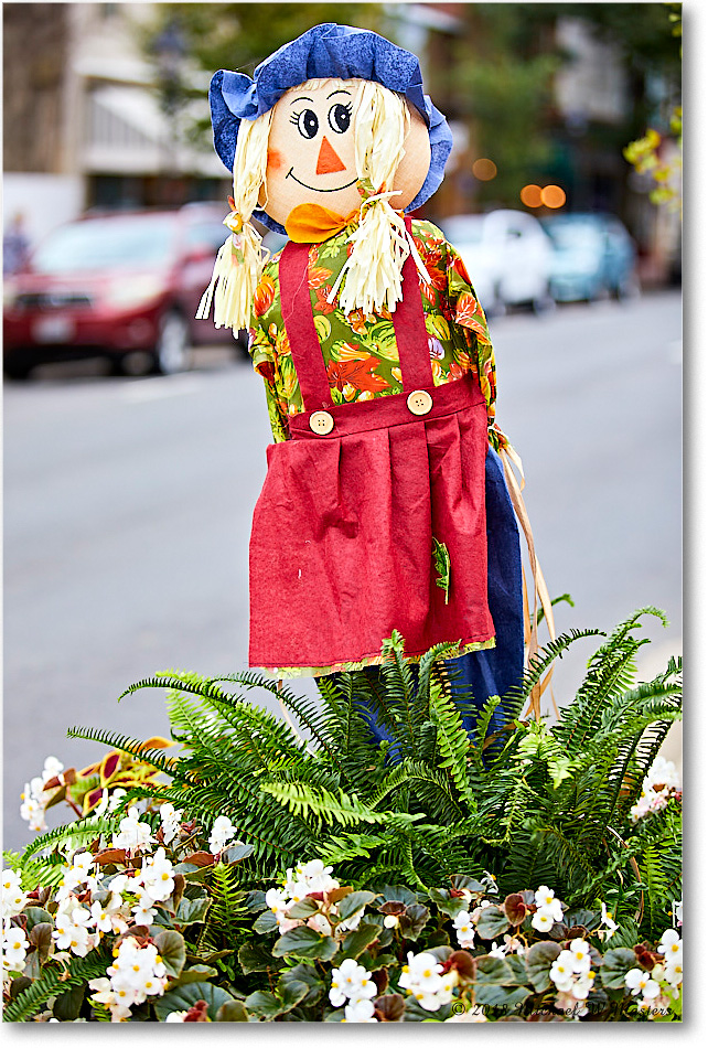 HarvestDoll_FburgVA_2018Oct_5D5A0991 copy