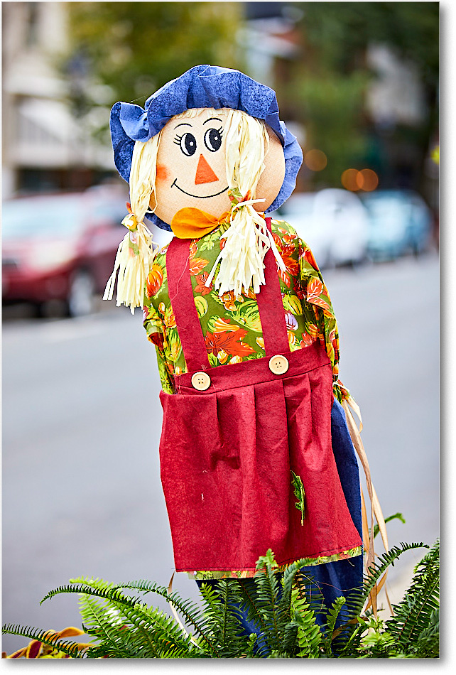 HarvestDoll_FburgVA_2018Oct_5D5A0992 copy