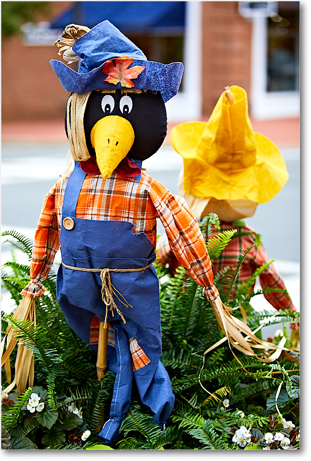 HarvestDoll_FburgVA_2018Oct_5D5A0997 copy