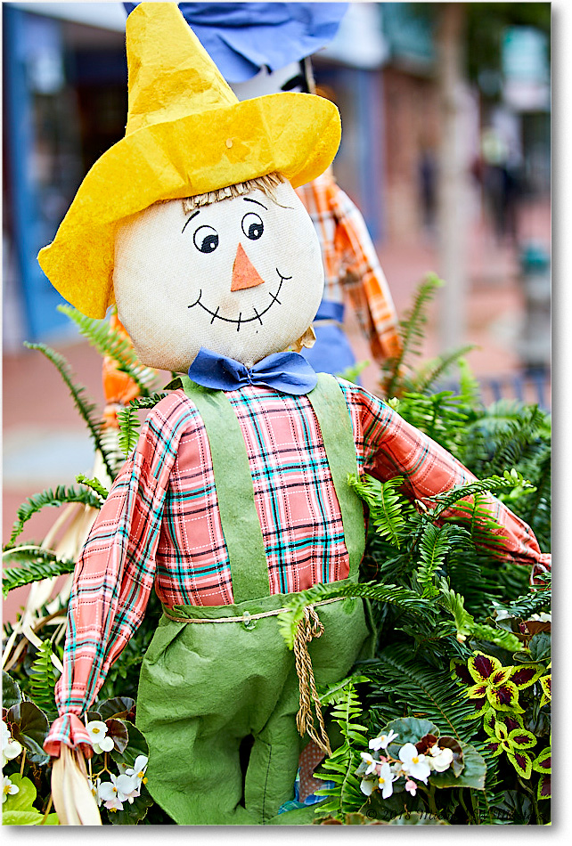 HarvestDoll_FburgVA_2018Oct_5D5A0999 copy