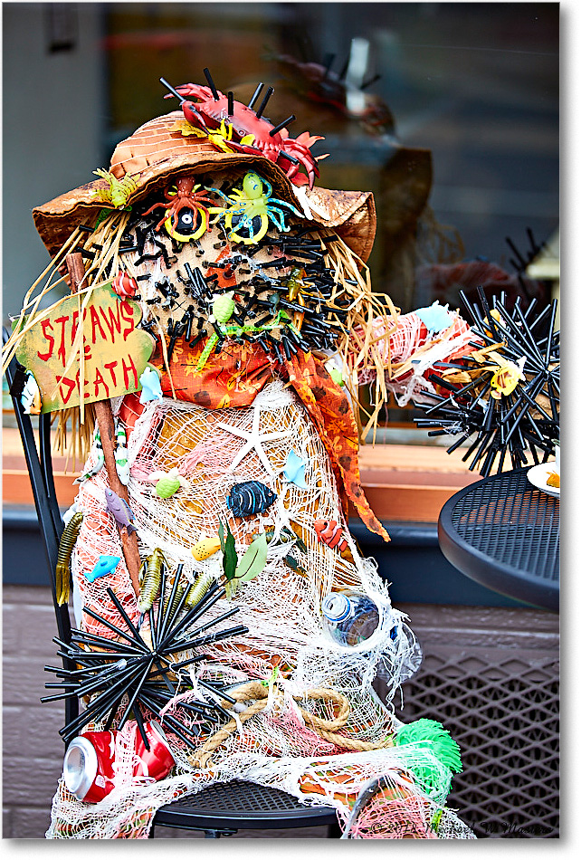 PollutionDoll_FburgVA_2018Oct_5D5A0969 copy