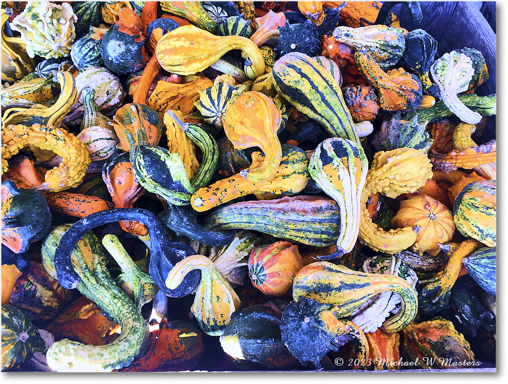 PumpkinPatch_Fredericksburg_2023Oct_IMG_1411 copy