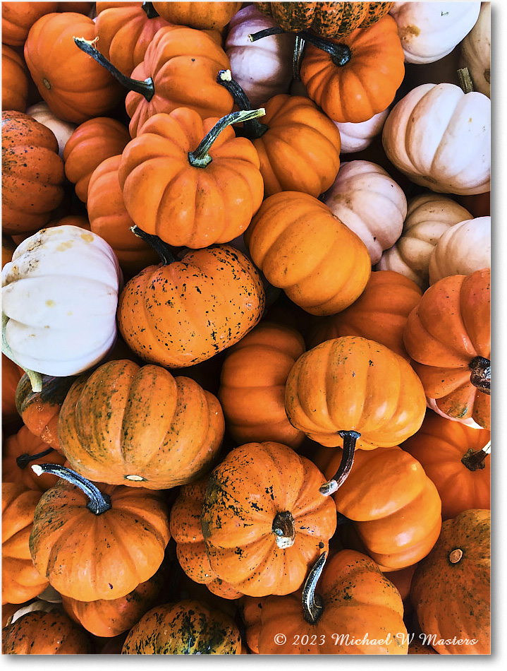 PumpkinPatch_Fredericksburg_2023Oct_IMG_1412 copy