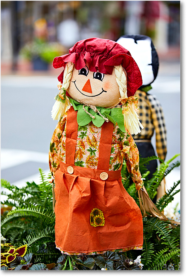 HarvestDoll_Fredericksburg_2018Oct_5D5A0951 copy