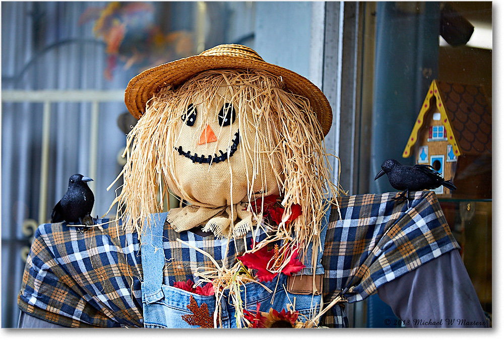 HarvestDoll_Fredericksburg_2018Oct_5D5A0959 copy