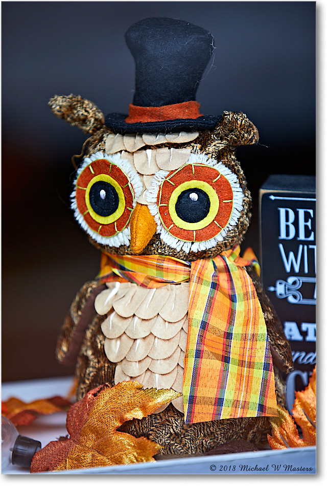 HarvestDoll_Fredericksburg_2018Oct_5D5A1013 copy