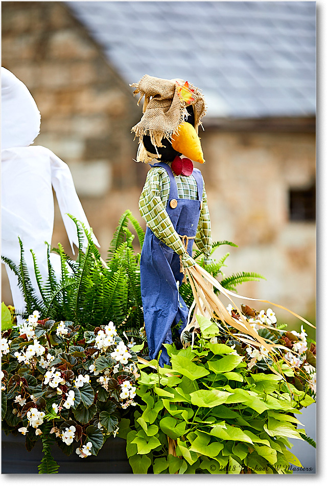 HarvestDoll_Fredericksburg_2018Oct_5D5A1021 copy
