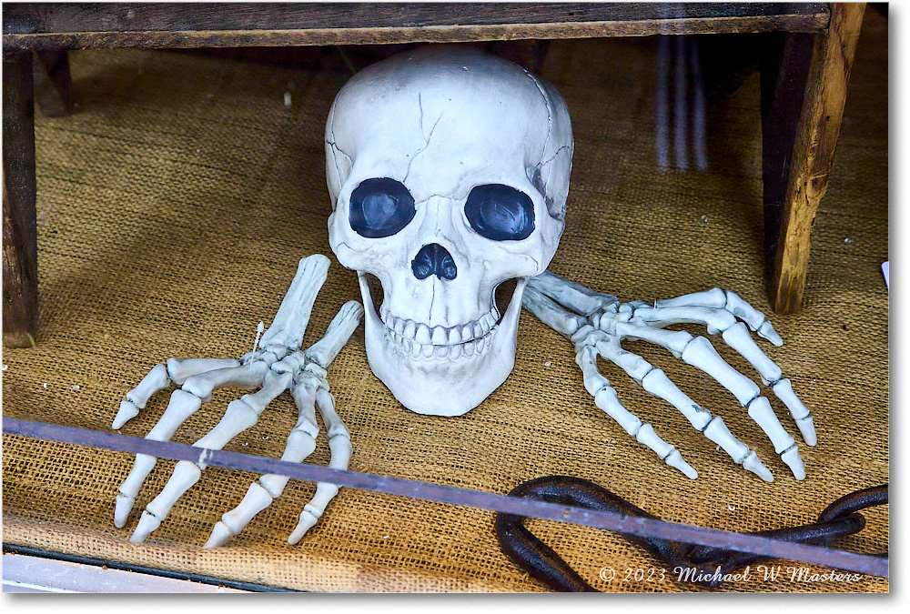 Halloween_Fredericksburg_2023Oct_R5B13339 copy