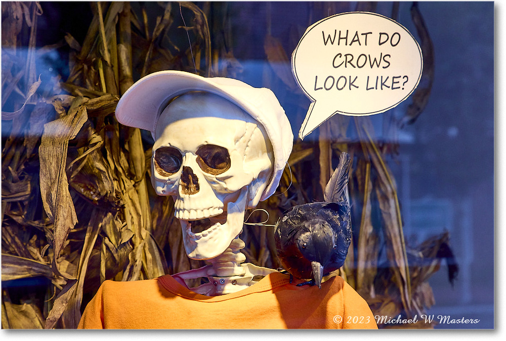 Halloween_Fredericksburg_2023Oct_R5B13342 copy
