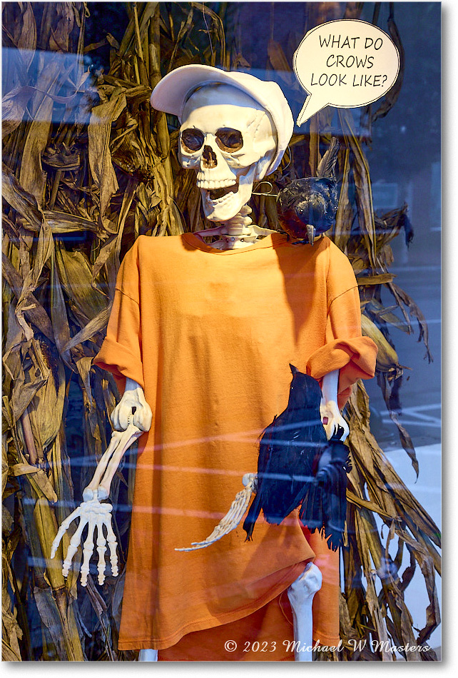 Halloween_Fredericksburg_2023Oct_R5B13343 copy
