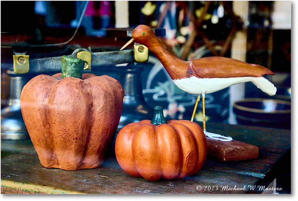 Halloween_Fredericksburg_2023Oct_R5B13353 copy