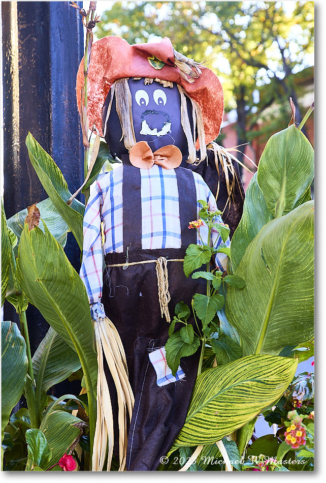 HarvestDoll_Fredericksburg_2023Oct_R5B13164 copy